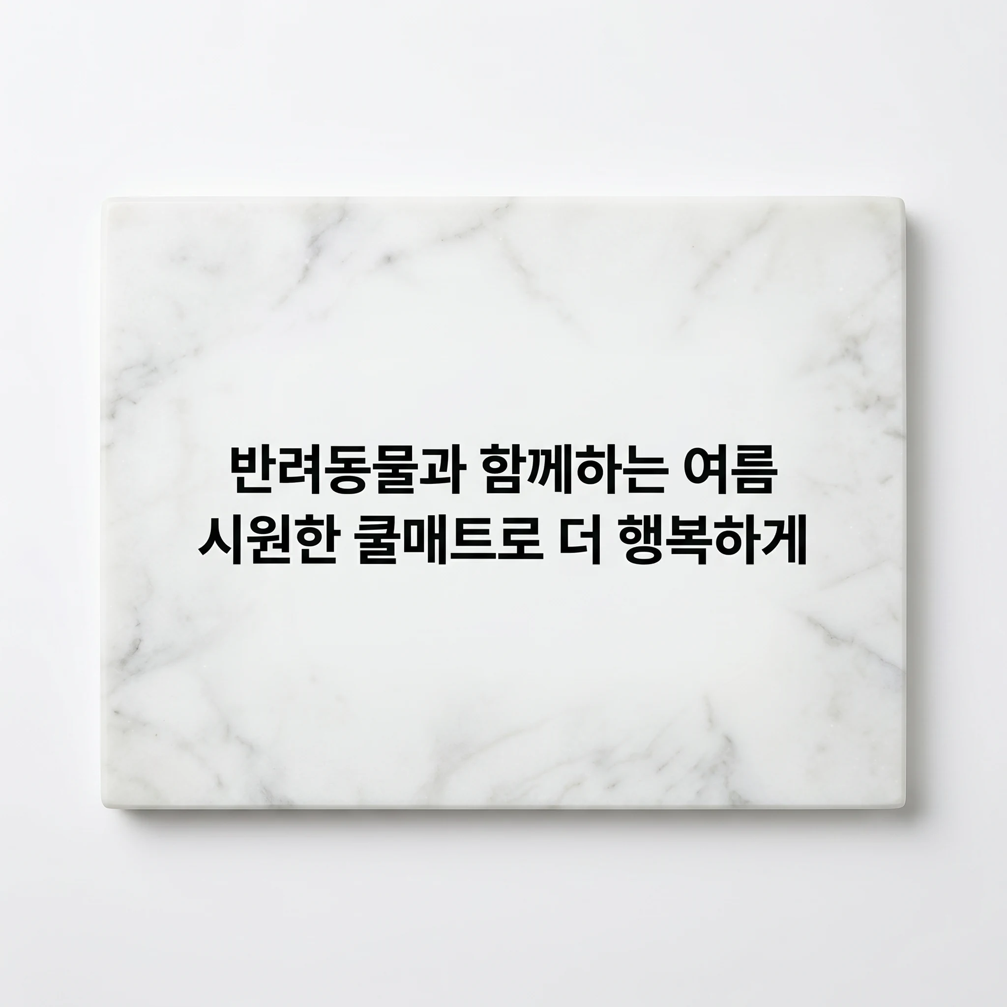 라온펫 반려동물 대리석 매트 쿨매트 강아지 애견 고양이 매트 낱장쿨매트, 중형, 라온펫 랜